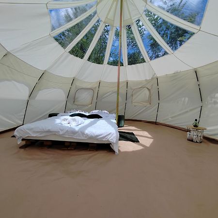 Luna Rock Glamping Brezoi - Blue Scai Hotel ภายนอก รูปภาพ